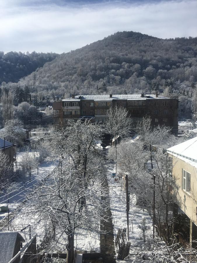 Areguni Guest House Dilijan Eksteriør billede